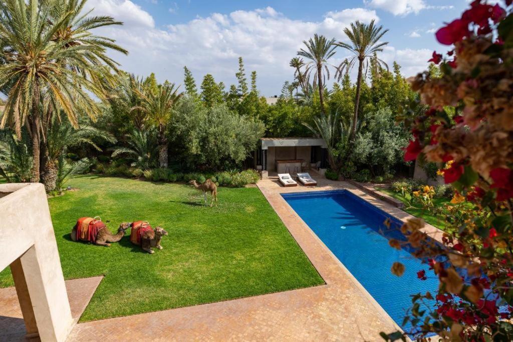 Villa Sahar Palmeraie Avec Piscine Chauffee ! Marrakesh Extérieur photo